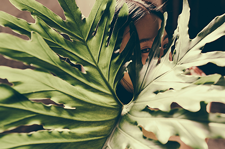 大きな葉の合間から見える女性
