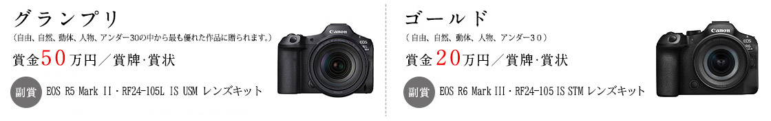 グランプリ(自由、自然、動体、人物、アンダー30の中から最も優れた作品に贈られます。) 賞金50万円/賞牌・賞状 副賞 EOS R5 Mark Ⅱ・RF24-105L IS USM レンズキット ゴールド(自由、自然、動体、人物、アンダー30) 賞金20万円/賞牌・賞状 副賞 EOS R6 Mark III・RF24-105 IS STM レンズキット