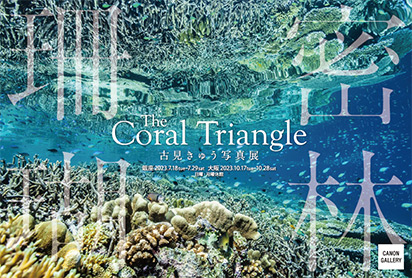 古見 きゅう 写真展「The Coral Triangle -密林珊瑚-」：キヤノンギャラリー｜個人｜キヤノン