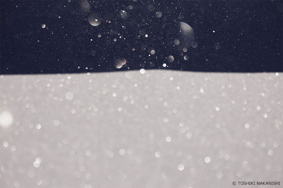 中西敏貴氏の作品