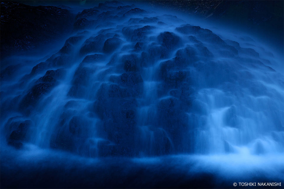 中西敏貴氏の作品