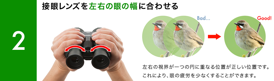 図：双眼鏡の使い方 2 接眼レンズを左右の眼の幅に合わせる