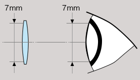 図：暗いところ ひとみ径が7mmの双眼鏡の場合