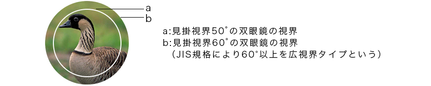 図:広視界タイプ