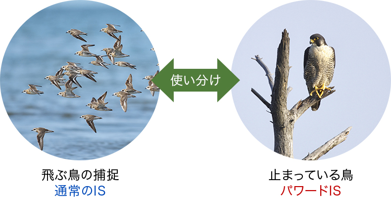 図:使い分け