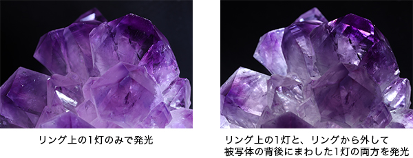 リング上の1灯のみで発光/リング上の1灯と、リングから外して被写体の背後にまわした1灯の両方を発光