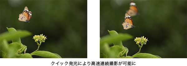 クイック発光により高速連続撮影が可能に