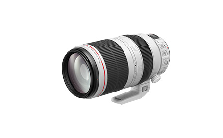 Canon ズームレンズ EF100-400 F4.5-5.6L IS USM201730