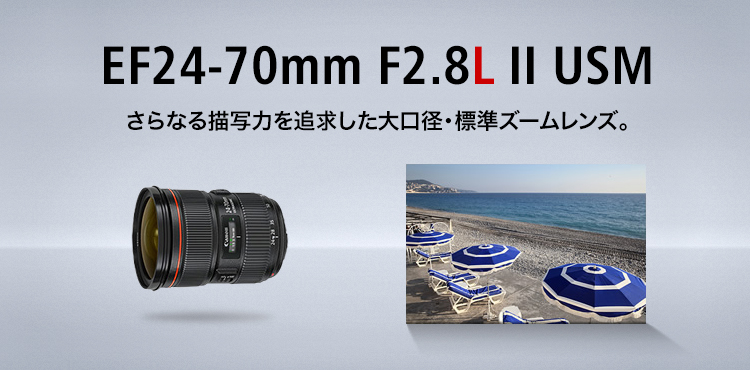 画像の物がすべての付属品ですキヤノン EF24-70mm F2.8L II USM 交換レンズ