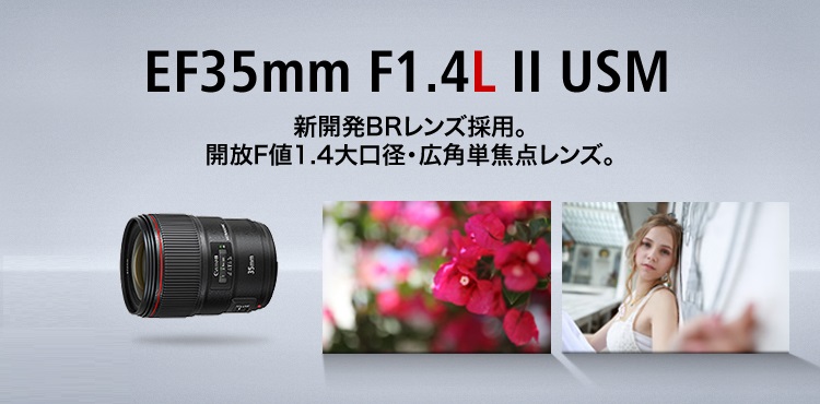 Canon 単焦点レンズ EF35mm F1.4L USM 美品Canon美品 - レンズ(単焦点)