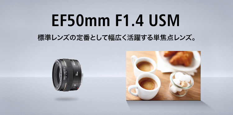 【外観特上級】Canon 単焦点レンズ EF50mm F1.4 USM