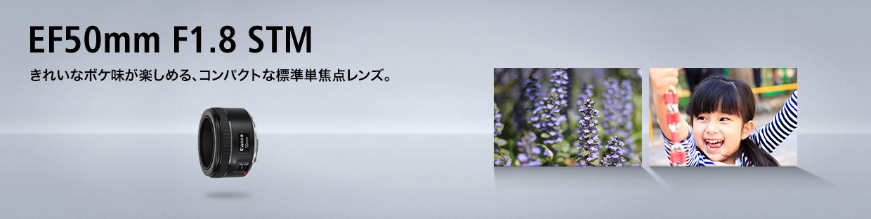 EF50mm F1.8 STM きれいなボケ味が楽しめる、コンパクトな標準単焦点レンズ。