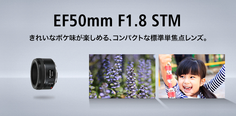 キャノン 単焦点レンズEF50mm F1.8 STMカメラ - レンズ(単焦点)