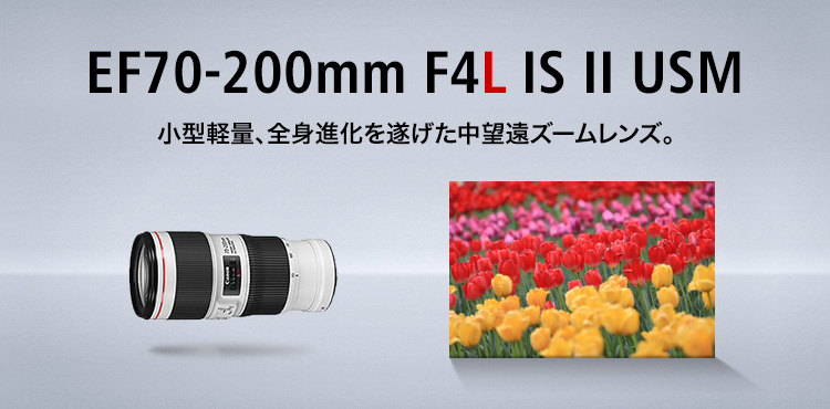 EF70-200mm F4L IS II USM：レンズ交換式カメラ・レンズ｜個人｜キヤノン