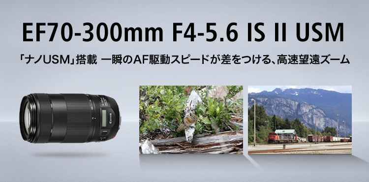 Canon 望遠ズームレンズ EF70-300mm F4-5.6 IS USM フルサイズ対応 ...