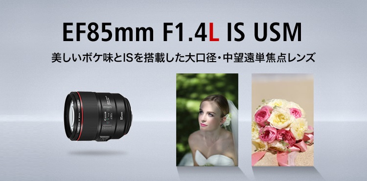 その他は綺麗だと思いますCanon EF85mm F1.4L IS USM