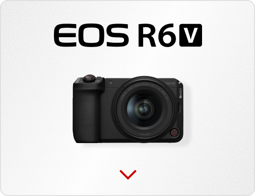 EOS R6 V