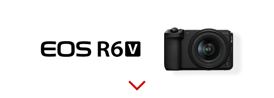 EOS R6 V