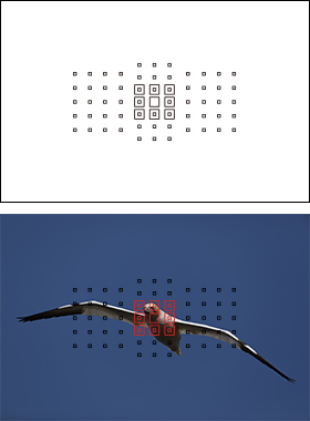 図:領域拡大(任意選択周囲)