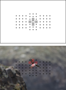 図:領域拡大(任意選択)