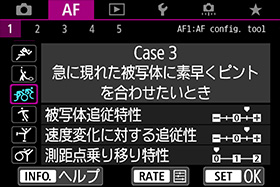 写真:Case3
