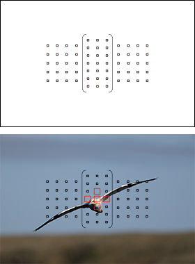 図:ラージゾーン(ゾーン任意選択)