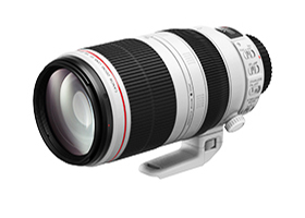 写真:EF100-400mm F4.5-5.6L IS II USM
