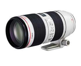 写真:EF70-200mm F2.8L IS III USM