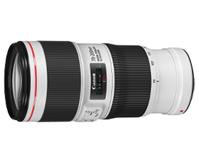 写真:EF70-200mm F4L IS II USM