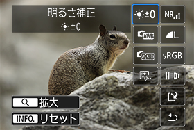 イメージ:カメラ内RAW現像