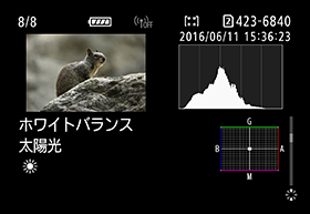 画面:ホワイトバランス情報