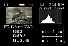 画面:ピクチャースタイル情報1