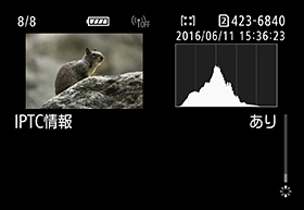画面:IPTC情報