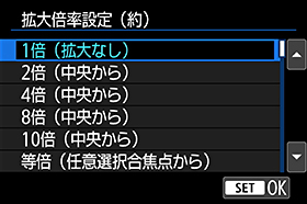 画面:拡大倍率設定(約)