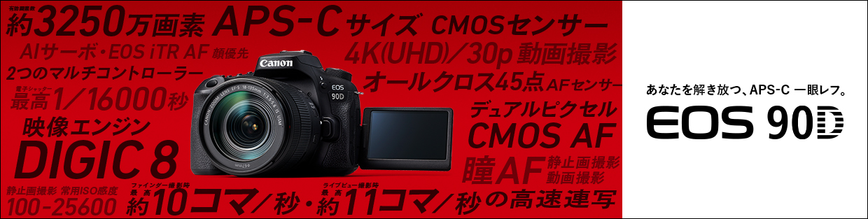 14310 撮影2000枚以下! Canon EOS 90D キヤノン ボディ - デジタルカメラ