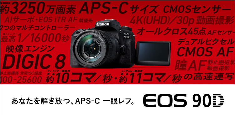 EOS 90D：レンズ交換式カメラ・レンズ｜個人｜キヤノン
