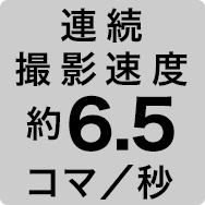 連続撮影速度 約6.5コマ／秒