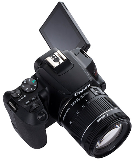 Canon デジタル一眼レフカメラ EOS Kiss X7 レンズキット EF-S18-55mm