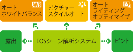 EOSシーン解析システムの概念図
