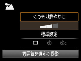 表現セレクト設定画面