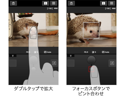 ダブルタップで拡大 フォーカスボタンでピント合わせ