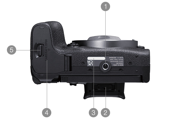 EOS R10 下面