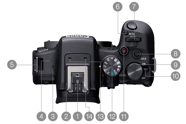 EOS R10 上面