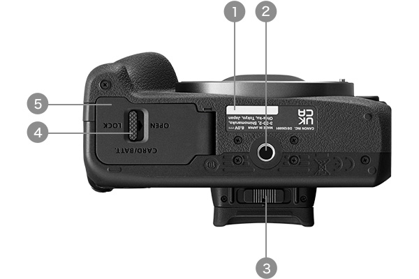 EOS R100 下面