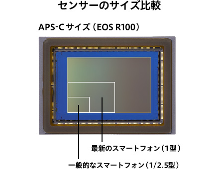 センサーのサイズ比較|APS-Cサイズ(EOS R100)/最新のスマートフォン(1型)/一般的なスマートフォンのセンサーサイズ(1/2.5型)