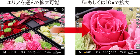 エリアを選んで拡大可能/5×もしくは10×で拡大