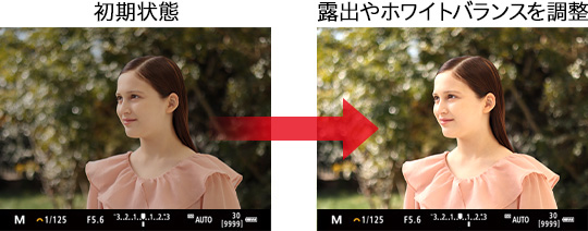 初期状態/露出やホワイトバランスを調整