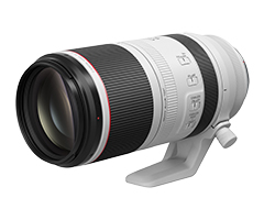 RF100-500mm F4.5-7.1 L IS USM