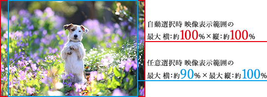 広範囲AFエリア