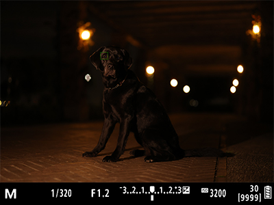 低輝度合焦限界EV-6